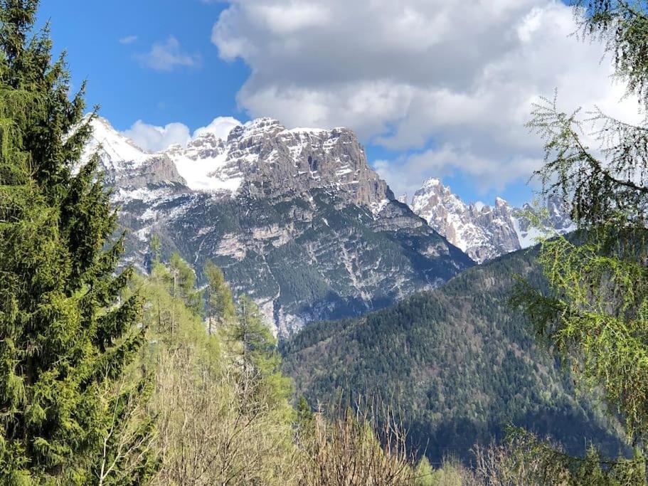 Appartamento Giada Pozzale Di Pieve Di Cadore Exteriör bild